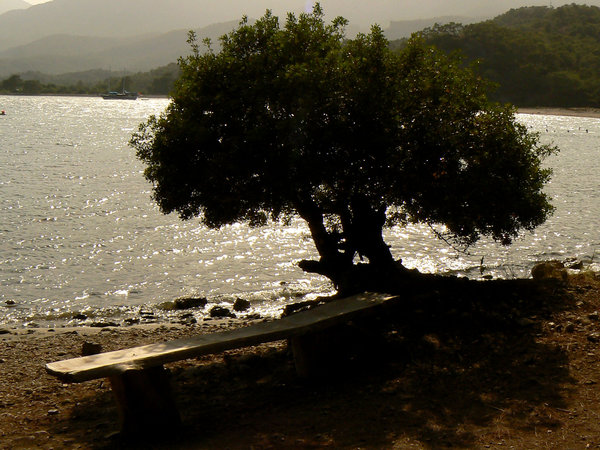Kırılmış İşte