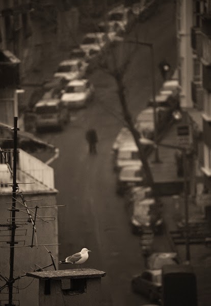 Eylülde Unut Bunları Çocuk (Hafıza Kayıpları)