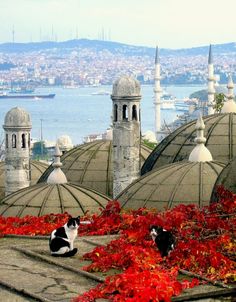 nedim-siirinde-istanbul