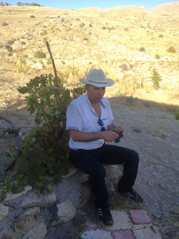 İki dosttan