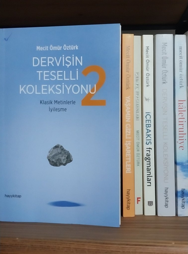 Dervişin Teselli Koleksiyonu 2 Klasik Metinlerle İyileşme