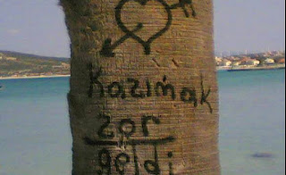 IL CUORE