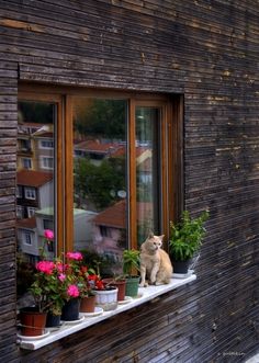 istanbul-aski