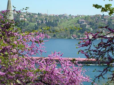 erguvanlar