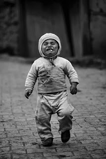 2013 Şiir Yıllığı