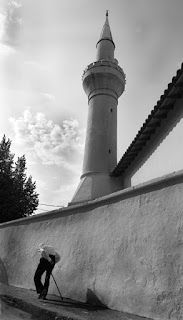 Örümcek Ağı