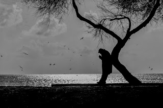 Gece