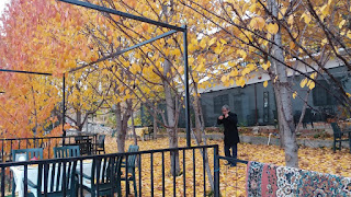 Kış