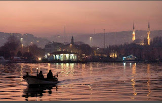 Gündüz Yarasaları