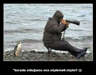 Suçlu Şiirler