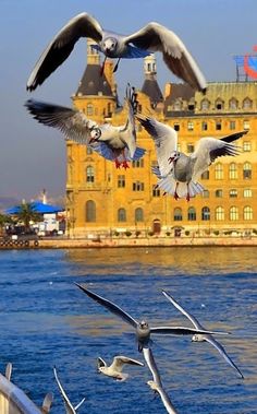 haydarpasa-tarihi