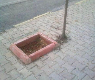 Veda Yazısı
