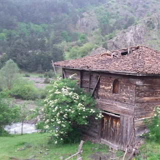 Bir Yaz Günü İçin Şiir