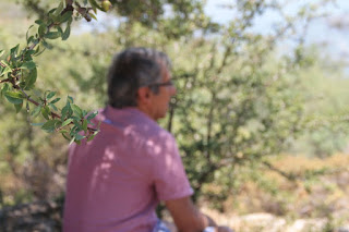 Düşünce