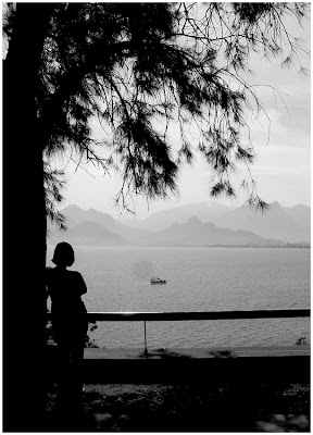 Marienbad Ağıdı