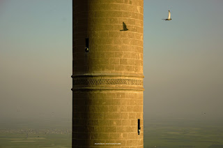 Vay Kurban