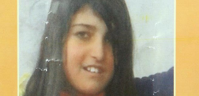 Ağrı Dağı’nda bir Ebru