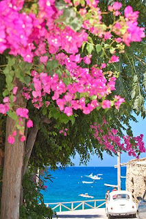 Çeşitlemeler