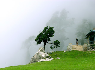 İğde Kokusu