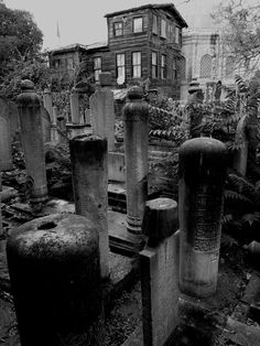 istanbul-muridi