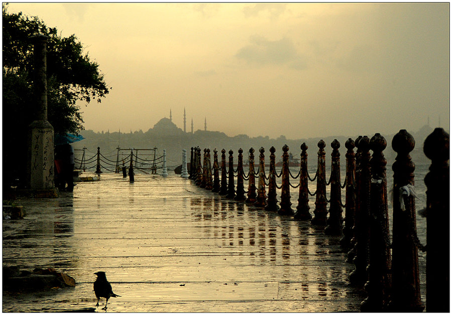 istanbul-aksamlari