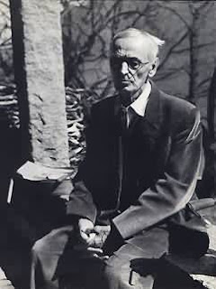 Bozkırkurdu