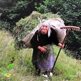 Burası Türkiye Sultanım