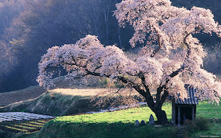 Kopuşma