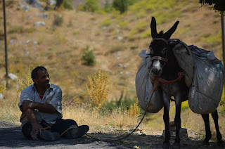 Yapı İskelesi