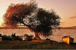Gezi Adası