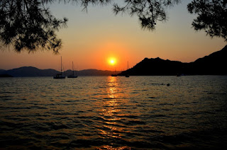 Fotoğraf