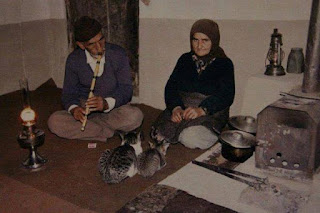 Yedicanlı Olmak