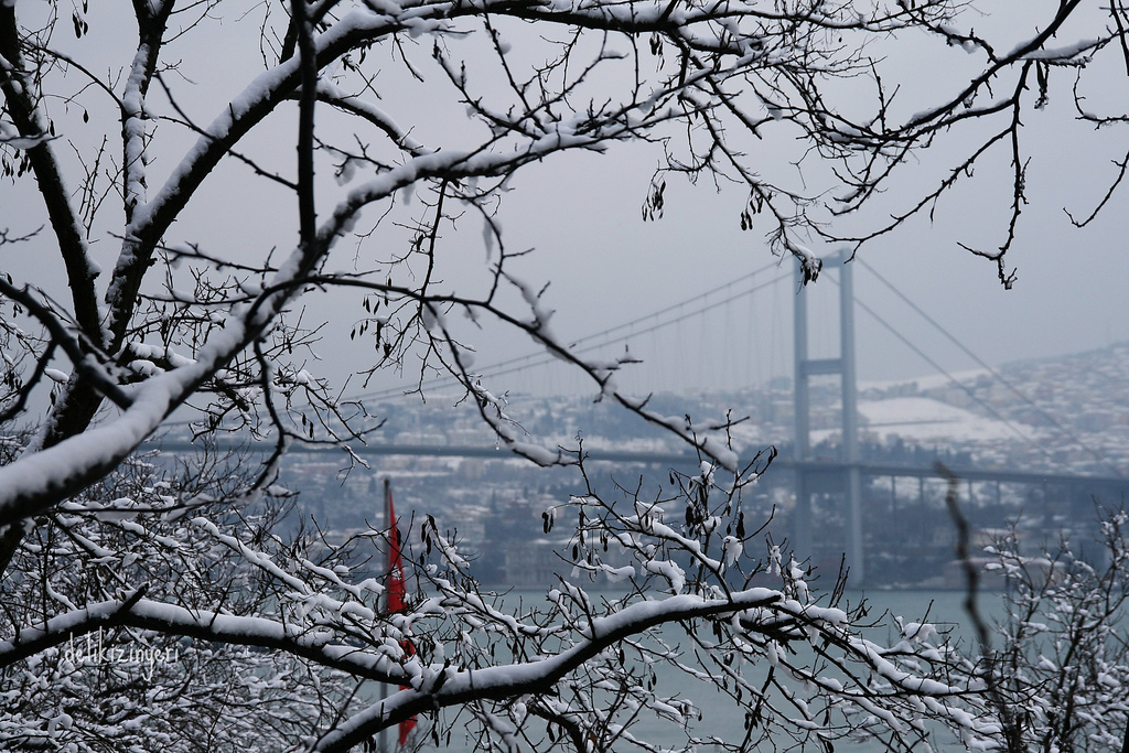 Yaz Fotoğrafları