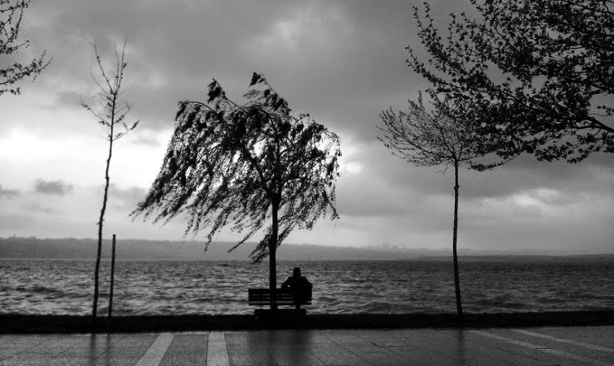 Seferis ile Üvez