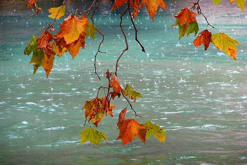 Ömrün Bir Ânı