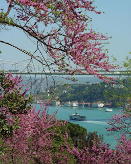 Cennet Çağrışımı