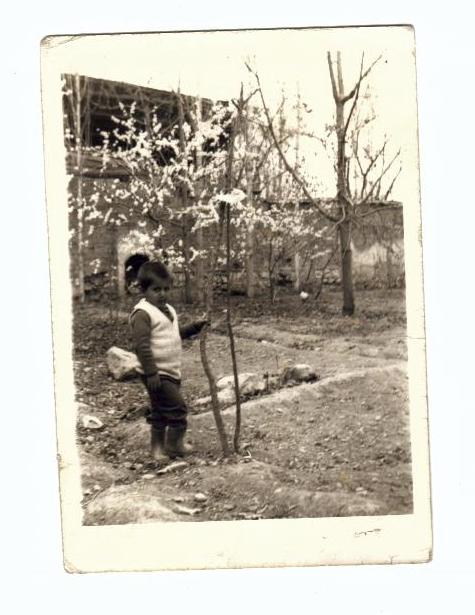 ben bir erik ağacıyım
