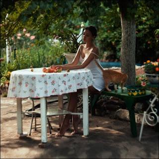 Sevda Yaratan