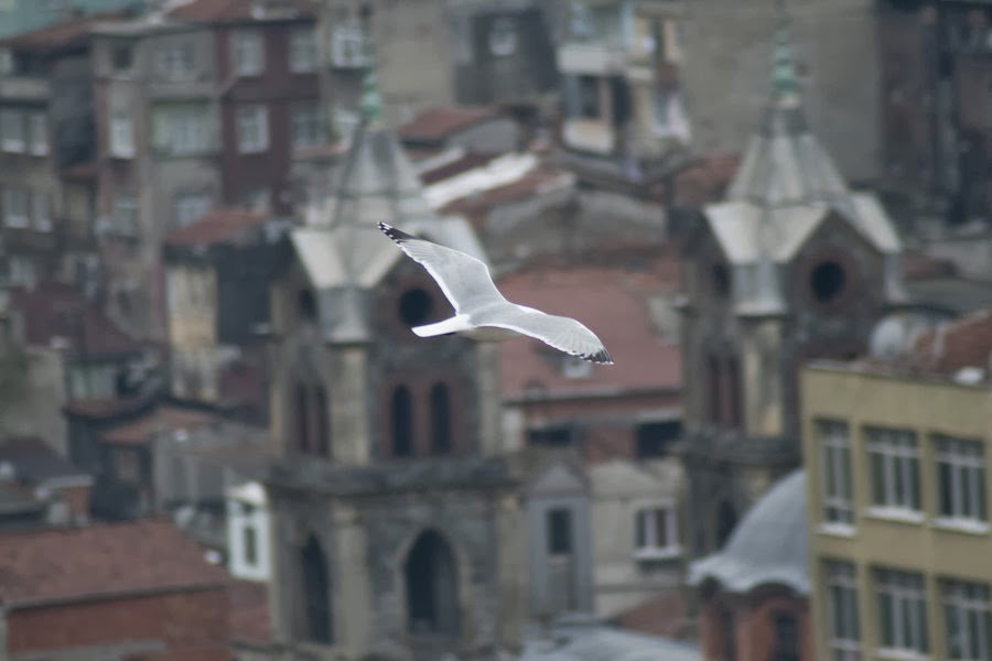 İstersen