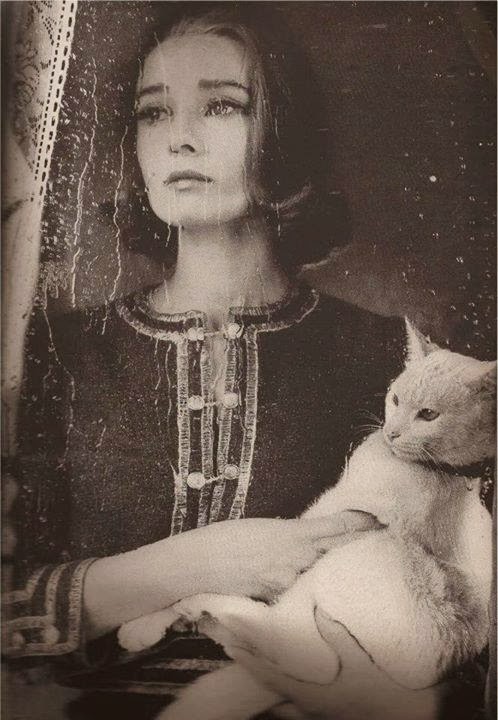 Riyâh-ı Leyâl