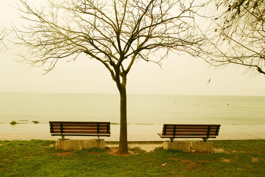 Suçlu Şiirler