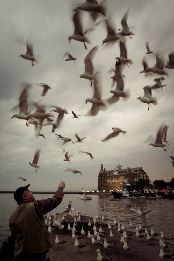 haydarpasa-ve-martilar