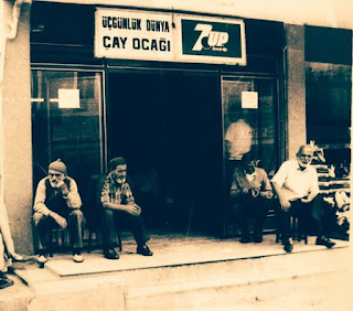 Aşıkların Suâli