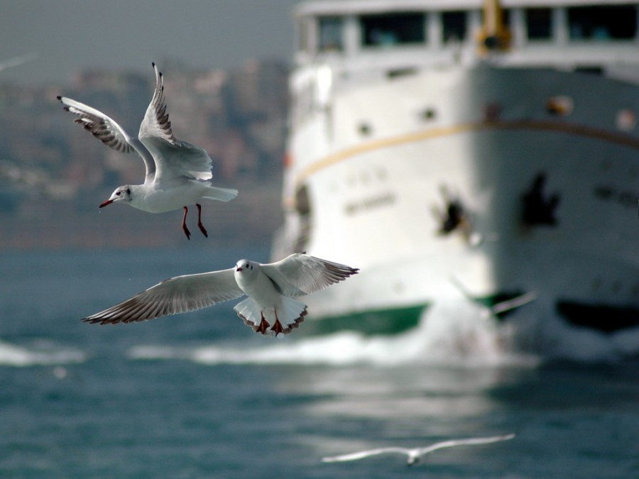 İstanbul Destanı