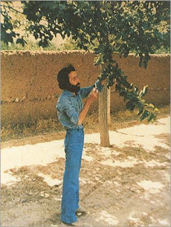Denizlerin Ardında