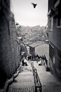 Birçok