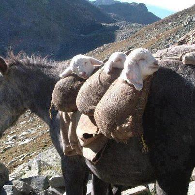 Yol Sonunda Reddiye