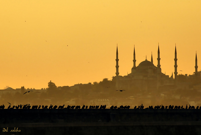 Kaside Der Vasf-ı Der İstanbul