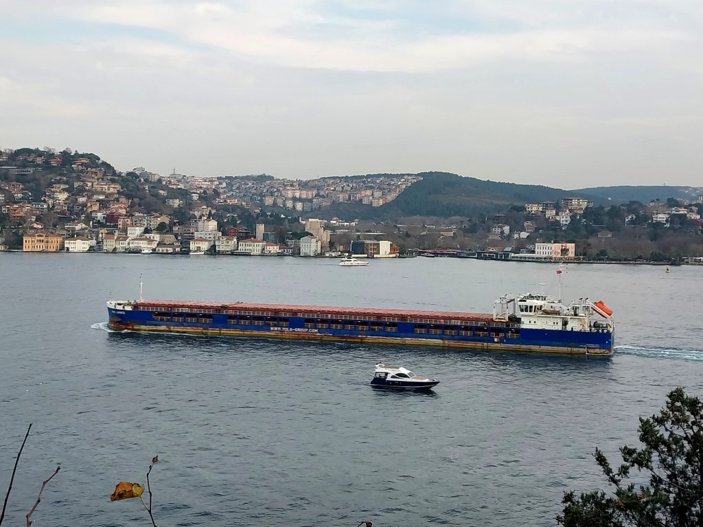 DENİZ MELTEMİ
