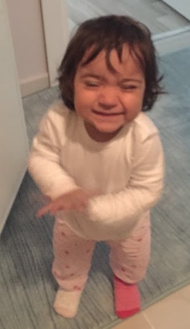 Divan Şiirinde Hande